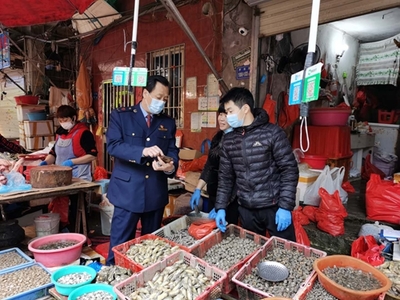 厦门市思明区市场监管局紧急部署 火速开展贝类产品清查行动 开办管理壹马市场