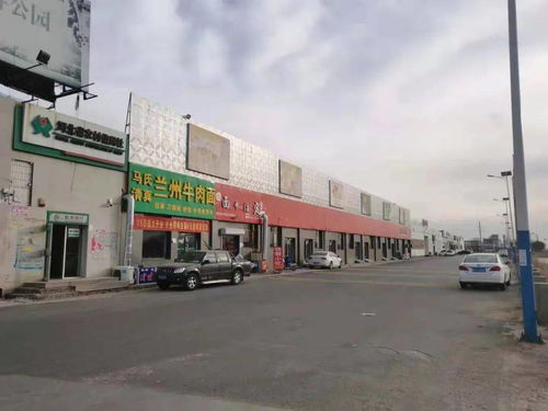 马厂镇村庄清洁活动每日一村 王胜武屯